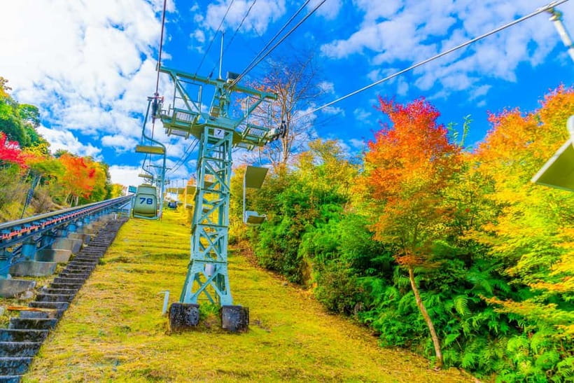 From Osaka: Amanohashidate and Ine Bay Day Trip - Guides, group size, and language