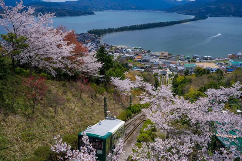 From Osaka: Amanohashidate and Ine Bay Day Trip - Meeting at OCAT and settling into the bus