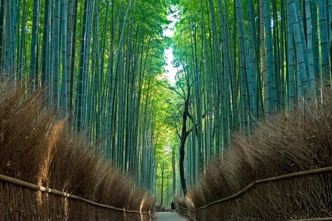 From Osaka/Kyoto: Kyoto & Nara Day Trip with Optional Lunch - Key points at a glance