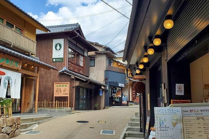 From Osaka/Kyoto: Kyoto & Nara Day Trip with Optional Lunch - Who will like this Kyoto and Nara tour