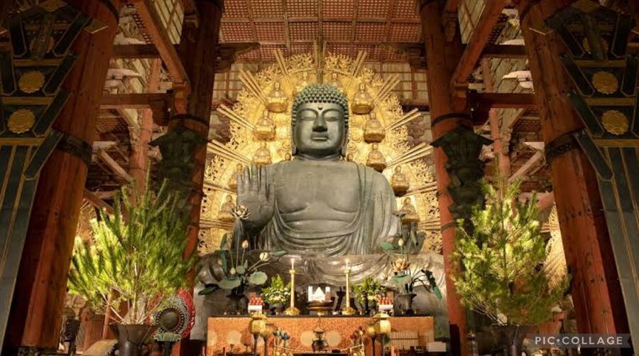 From Osaka/Kyoto: Private Kyoto & Nara Day Trip with Pickup - Togetsukyo Bridge and the Katsura River