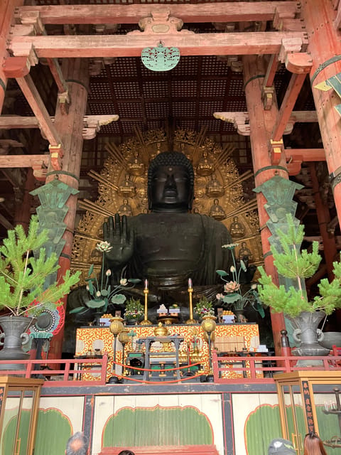 From Osaka: Nara Private Tour with Meet-Up at Your Hotel - Why Nara makes a better day trip than a quick photo stop