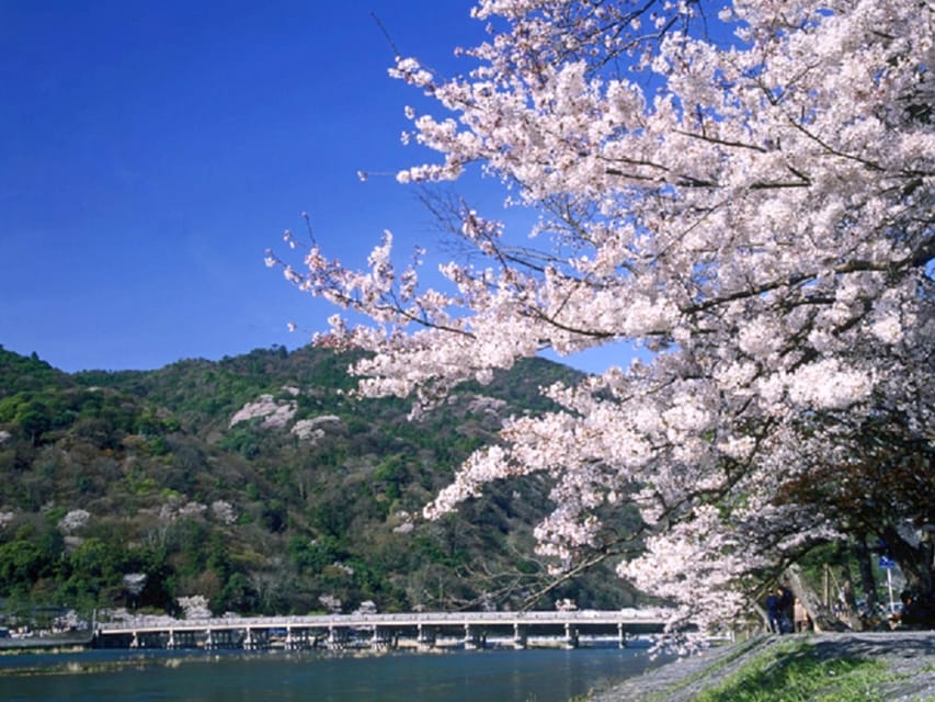 From Osaka: Sagano Train Ride and Kyoto Guided Day Tour - What this $66 Kyoto day trip really offers