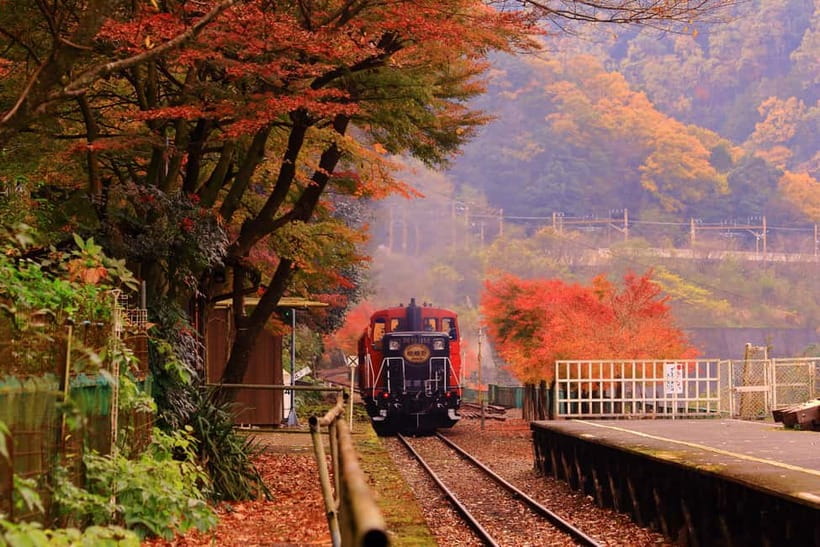 From Osaka: Sagano Train Ride and Kyoto Guided Day Tour - The Sagano Romantic Train from Arashiyama to Kameoka
