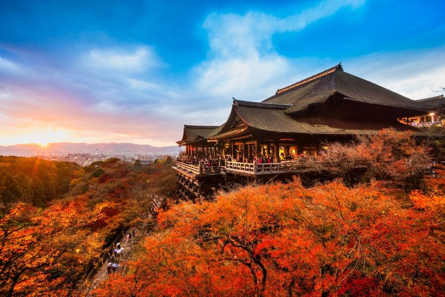 From Osaka: Sagano Train Ride and Kyoto Guided Day Tour - The guide can make or break the day