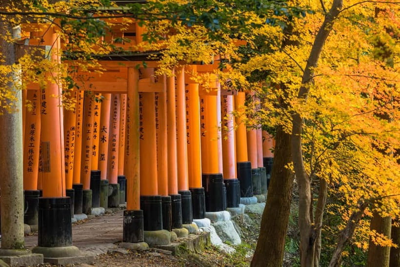 From Osaka: Sagano Train Ride and Kyoto Guided Day Tour - Arashiyama bamboo and the Katsura River