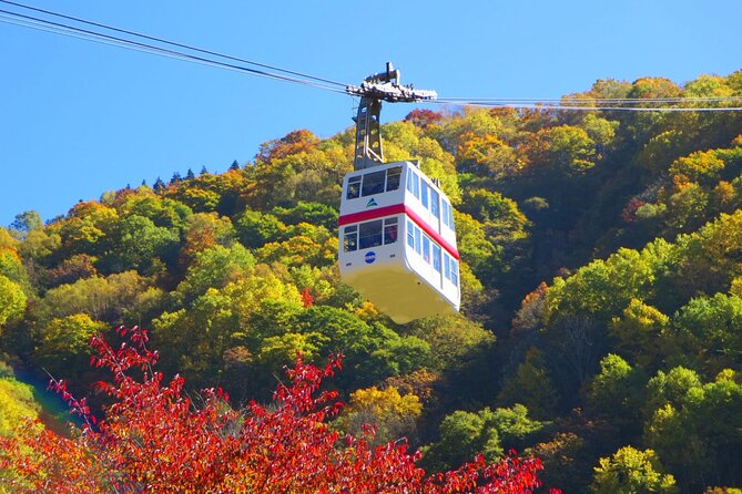 From Takayama: Alpine Splendor - Shinhotaka Ropeway and Kamikochi - Why this Takayama day trip works