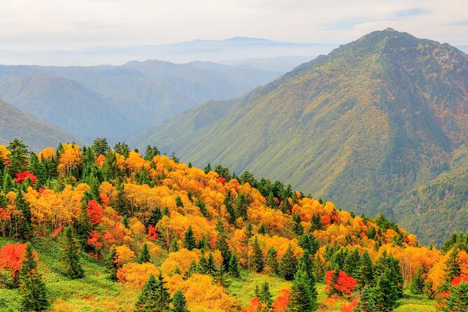 From Takayama: Alpine Splendor - Shinhotaka Ropeway and Kamikochi - Guides, group size, and the human side