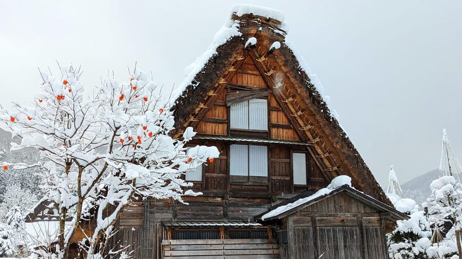 From Takayama: Guided Day Trip to Takayama and Shirakawa-go - Meeting at Takayama Station at 9:00 AM