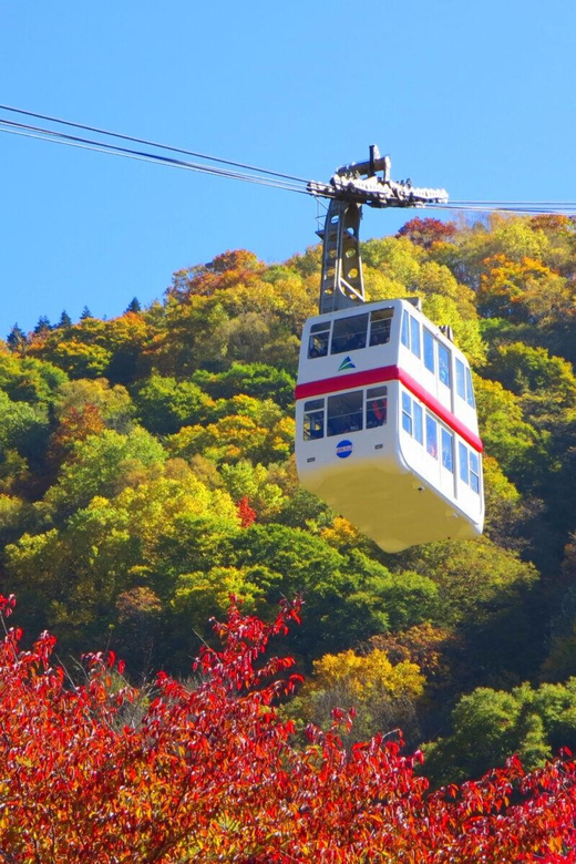 From Takayama: Shinhotaka Ropeway and Kamikochi tour - Making good use of 90 minutes alone
