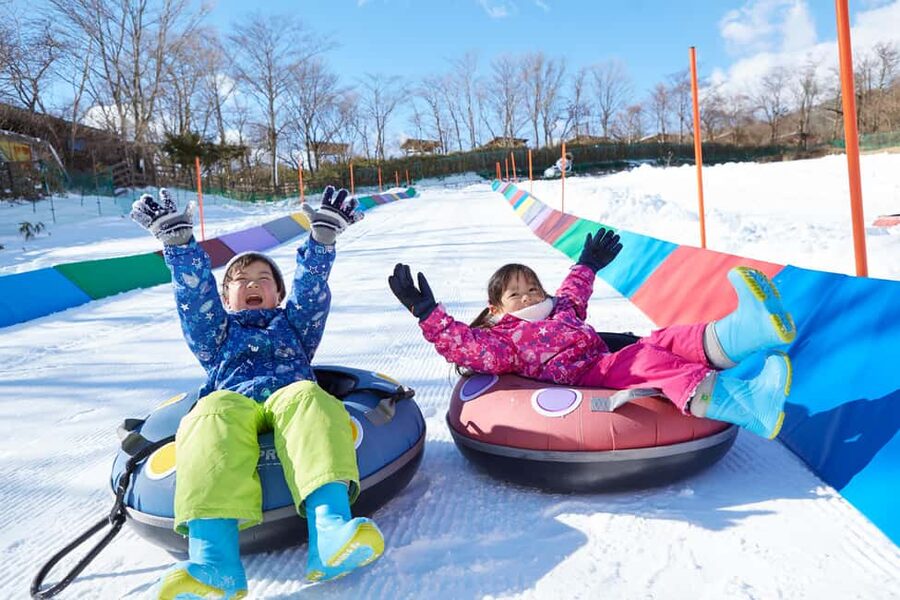 From Tokyo: Fujiyama Snow Resort Yeti Winter Ski Day Tour - Is this suitable for children?
