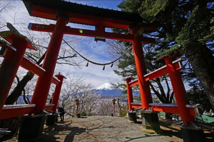 From Tokyo: Full-Day Mount Fuji Tour in English or Spanish - The day begins in Shinjuku