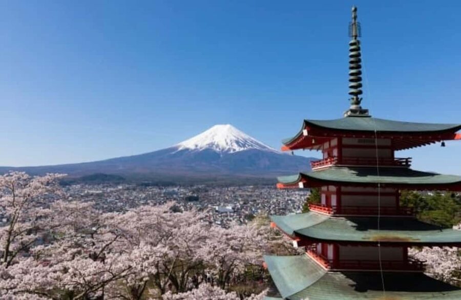 From Tokyo: Full-Day Mount Fuji Tour in English or Spanish - Oishi Park and the seasonal gardens