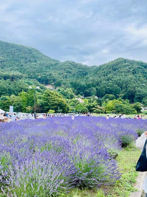 From Tokyo: Full-Day Mount Fuji Tour in English or Spanish - Arakura Sengen Park and the 400-step choice