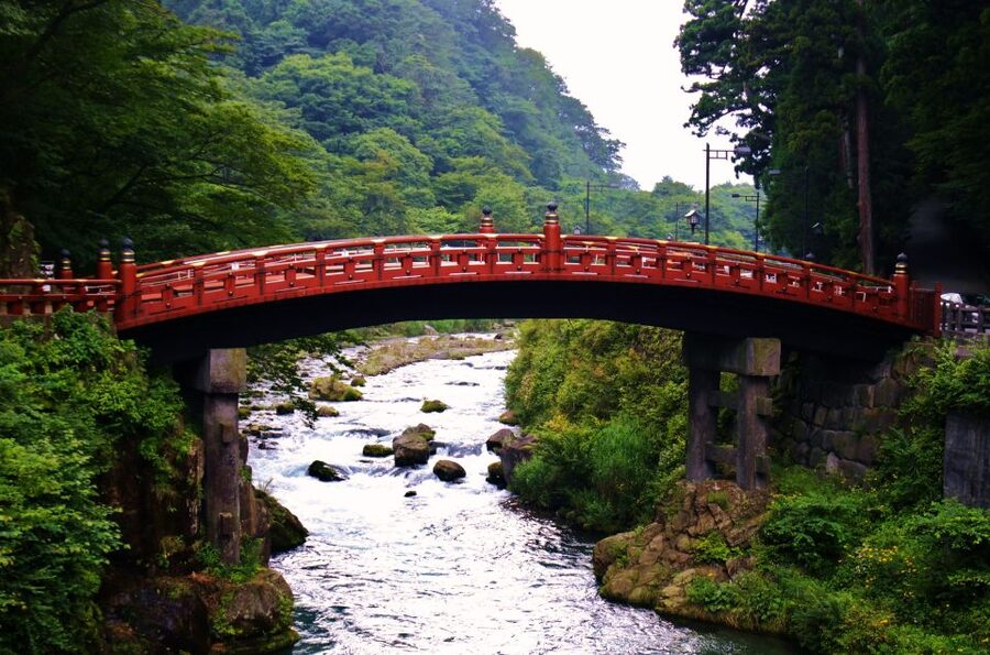 From Tokyo: Guided Day Trip to Nikko World Heritage Sites - Who should choose this Nikko day trip?