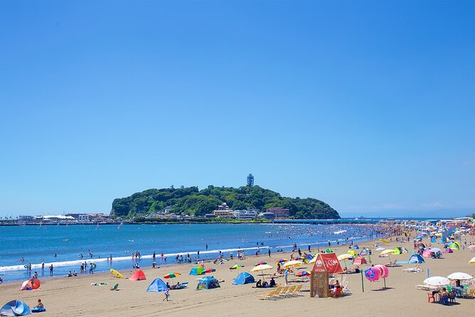 From Tokyo: Kamakura & Enoshima 1-Day Bus Tour - The bus, group size, and long return ride