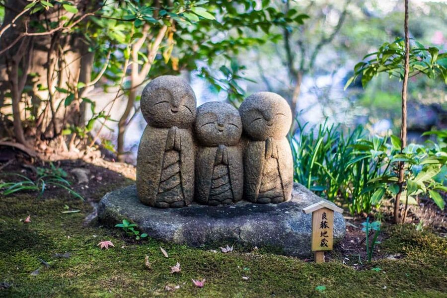 From Tokyo: Kamakura Full Day Tour with a Local Expert Guide - Key points to know before booking