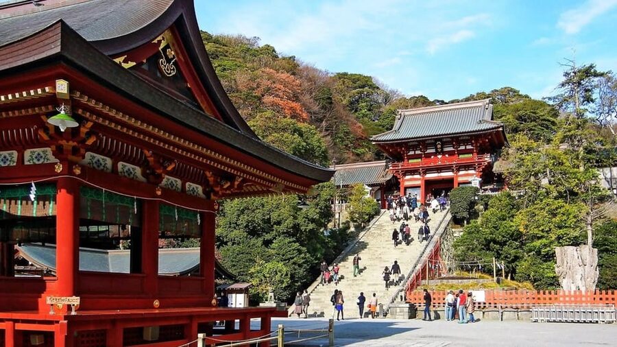 From Tokyo: Kamakura Full Day Tour with a Local Expert Guide - Tsurugaoka Hachimangu puts Kamakura into context
