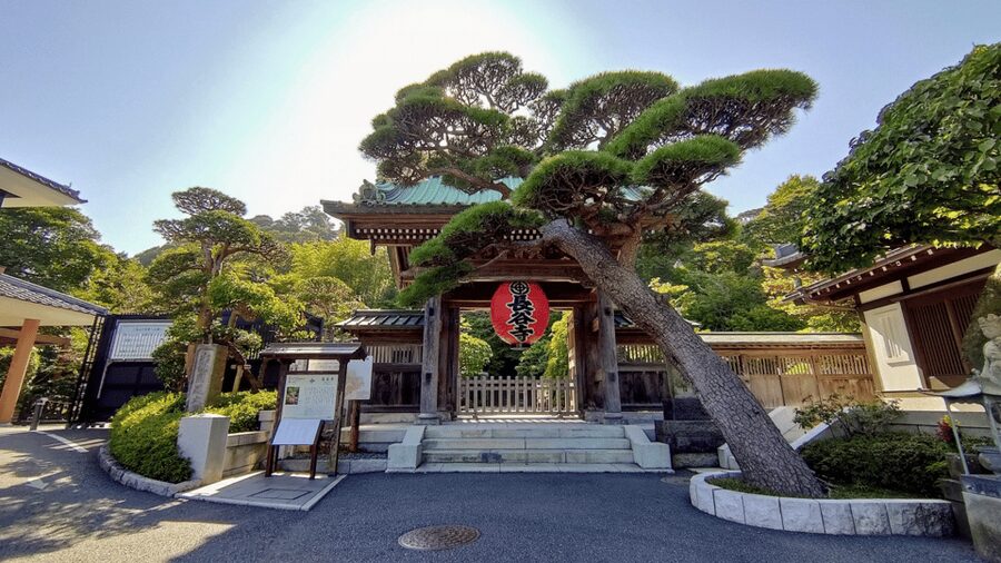 From Tokyo: Kamakura Full Day Tour with a Local Expert Guide - Shopping, photo stops, and the spaces between monuments