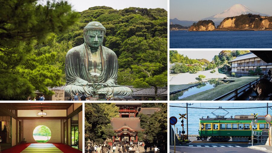 From Tokyo: Kamakura Full Day Tour with a Local Expert Guide - The Great Buddha gives the day its big moment
