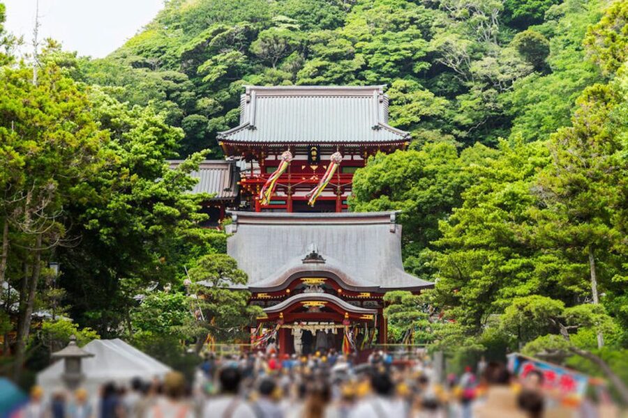 From Tokyo: Kamakura Private Customize Tour by Luxury Van - Enoshima, Benten shrines, and the coast