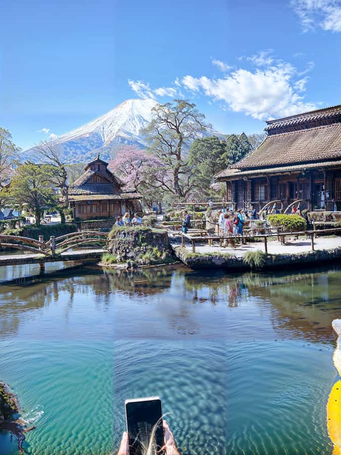 From Tokyo: Mount Fuji and Hakone Private Day Trip - Key points to know before booking