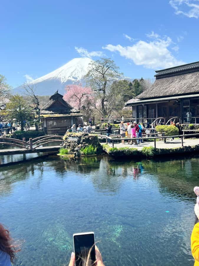 From Tokyo: Mount Fuji and Hakone Private Day Trip - Price, included services, and extra costs