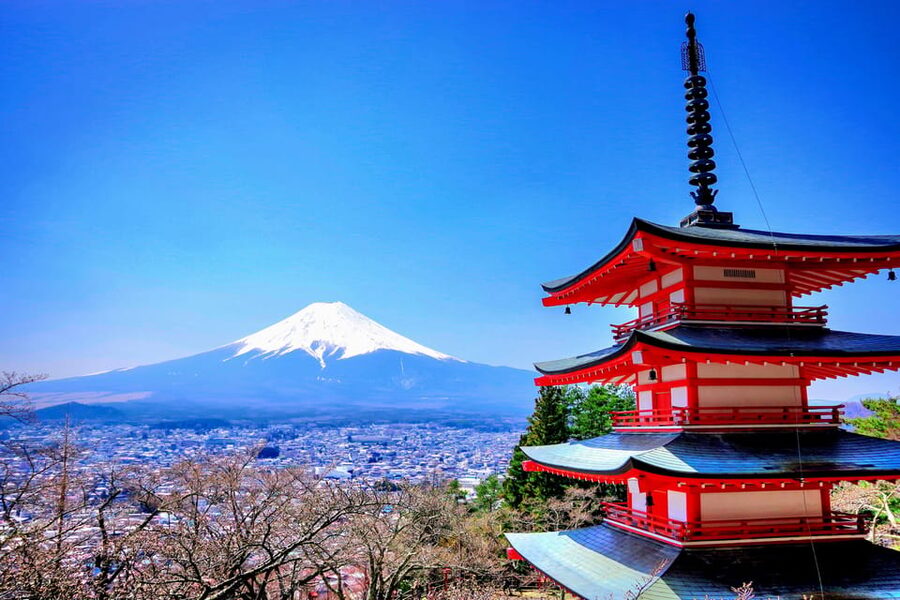 From Tokyo: Mount Fuji and Hakone Private Day Trip - Kitaguchi Hongu Fuji Sengen Shrine