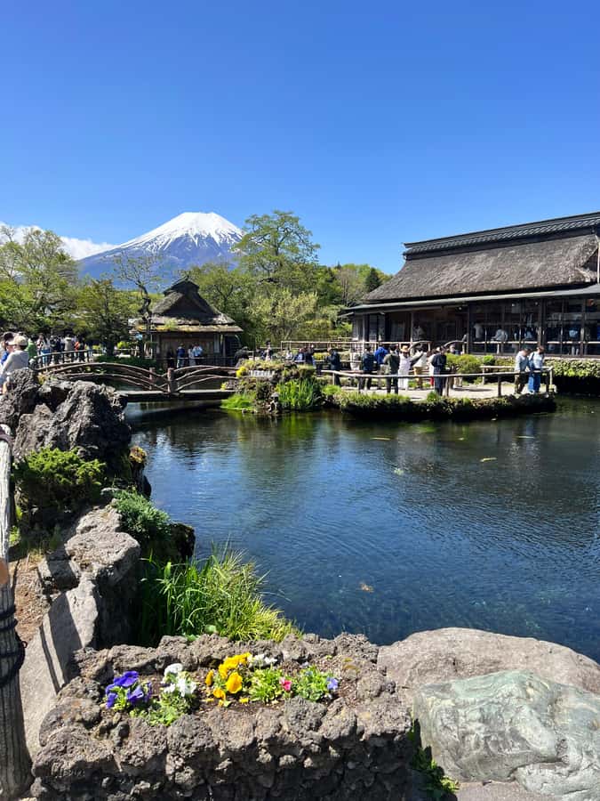 From Tokyo: Mount Fuji and Hakone Private Day Trip - Lake Ashi and Hakone’s volcanic side