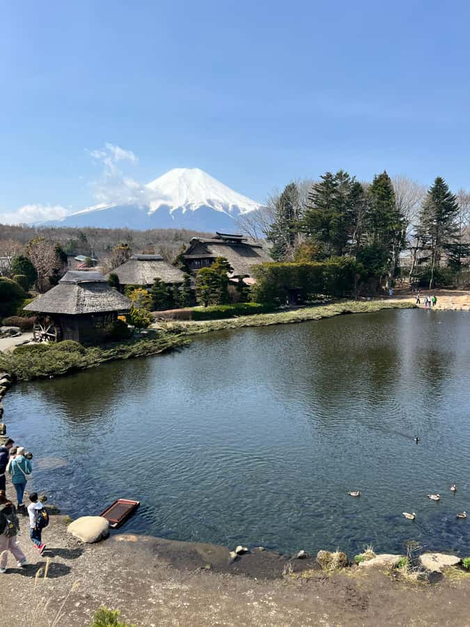 From Tokyo: Mount Fuji and Hakone Private Day Trip - The Hakone Open Air Museum