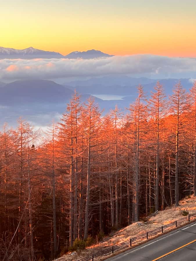 From Tokyo: Mount Fuji and Hakone Private Day Trip - Reaching Fuji Subaru 5th Station at 2,300 meters