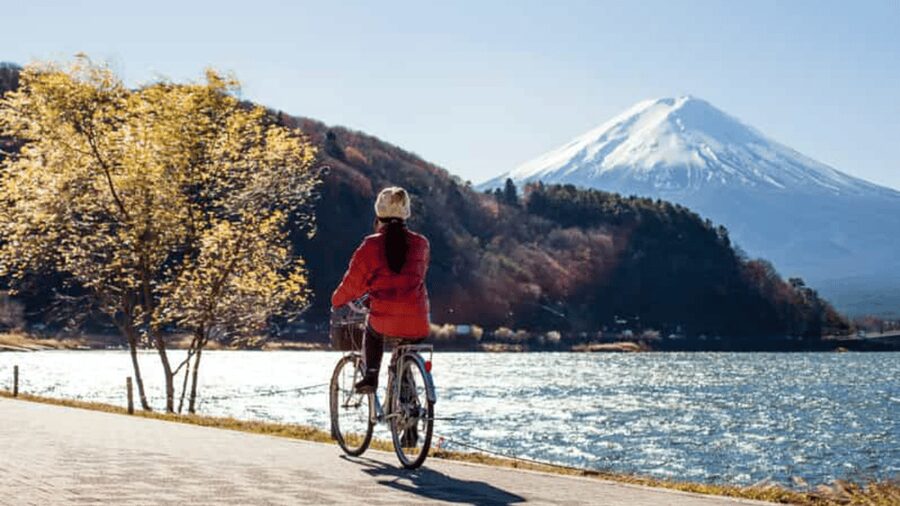 From Tokyo: Mount Fuji Full Customized Tour English Guide - Why a private car makes Fuji easier