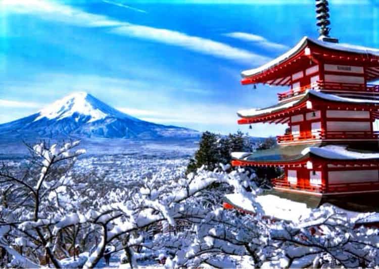 From Tokyo: Mount Fuji Full Customized Tour English Guide - Visiting Kitaguchi Sengen Shrine beneath old trees