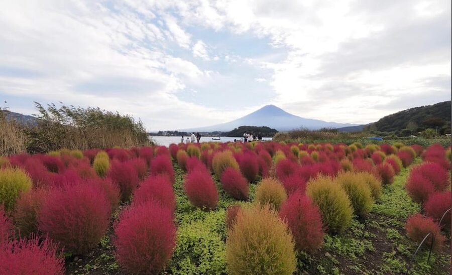 From Tokyo: Mount Fuji Full Customized Tour English Guide - Making Lake Kawaguchiko your flexible center