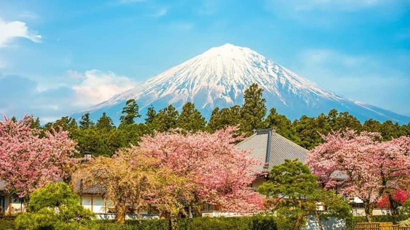 From Tokyo: Mount Fuji Full-Day Customizable Private Tour - Key Things to Know Before You Book