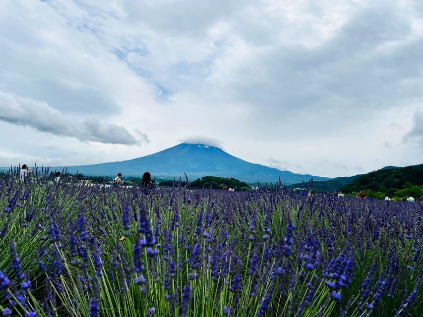 From Tokyo: Mount Fuji Full-Day Customizable Private Tour - What This Tour Really Offers