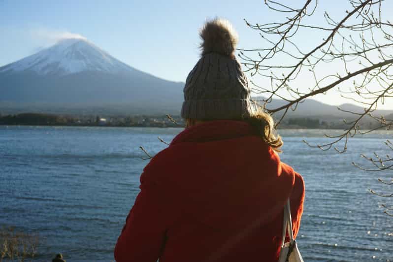 From Tokyo: Mount Fuji Full-Day Customizable Private Tour - Arakurayama Sengen Park and the Classic Fuji View