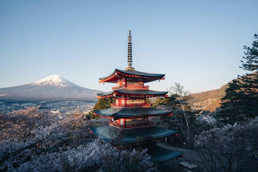 From Tokyo: Mount Fuji Full-Day Customizable Private Tour - Kitaguchi Hongu Fuji Sengen Shrine