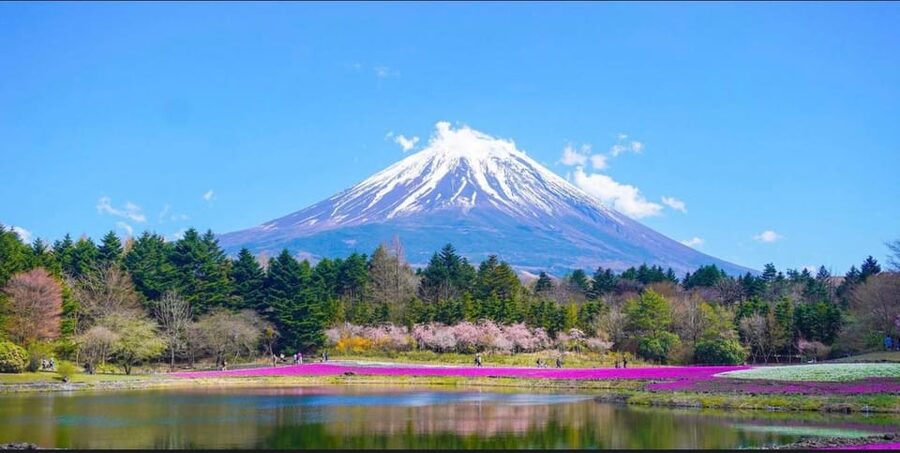 From Tokyo: Mount Fuji Full-Day Customizable Private Tour - Lake Kawaguchi, the Ropeway, and Oishi Park