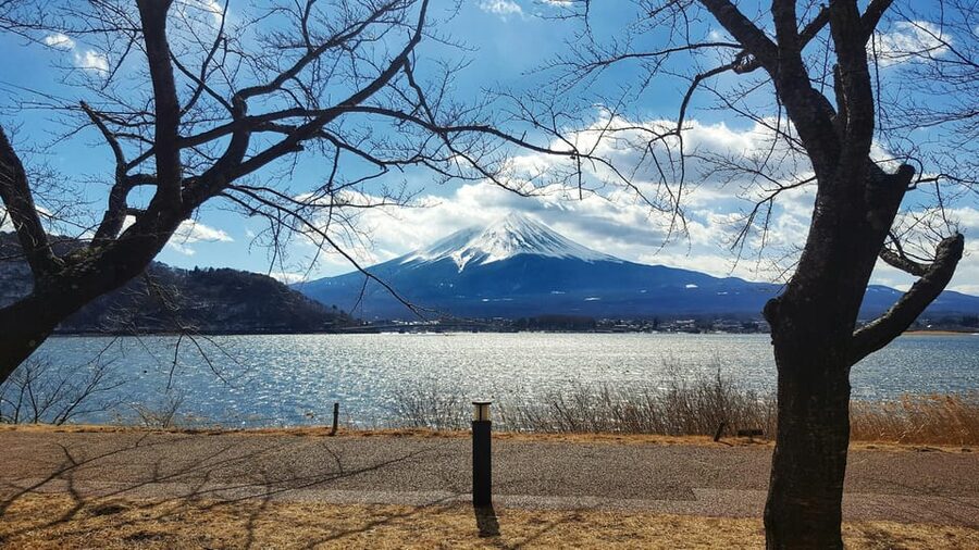 From Tokyo: Mount Fuji Full-Day Customizable Private Tour - The Hakone Alternative: Ropeway, Lake Ashi, and Art