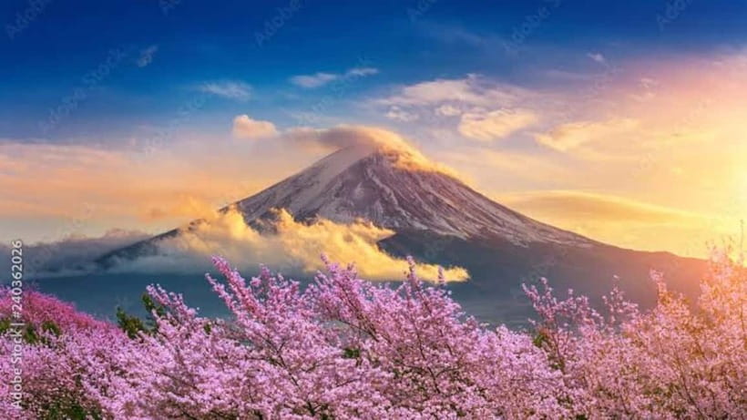 From Tokyo: Mount Fuji Full-Day Customizable Private Tour - Starting the Day From Tokyo