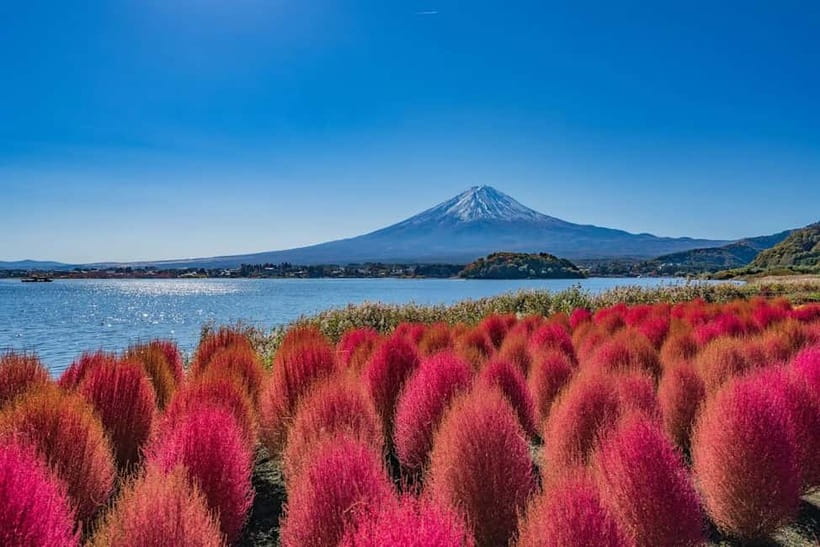 From Tokyo: Mount Fuji Full Day Private Customizable Tour - What makes this Mount Fuji day trip worth considering