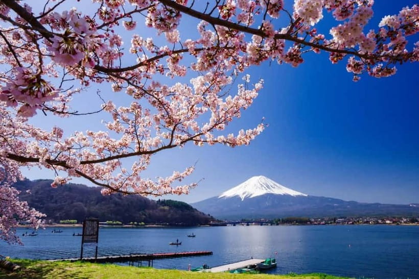 From Tokyo: Mount Fuji Full Day Private Customizable Tour - Chureito Pagoda and the famous Fuji photograph