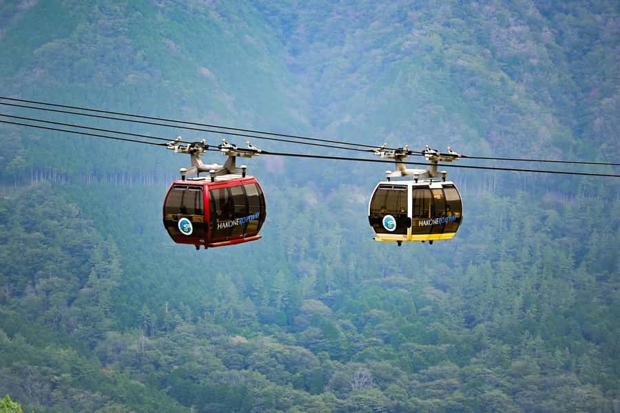 From Tokyo: Mount Fuji Full-Day Private Tour (Customizable) - Key points to know before booking