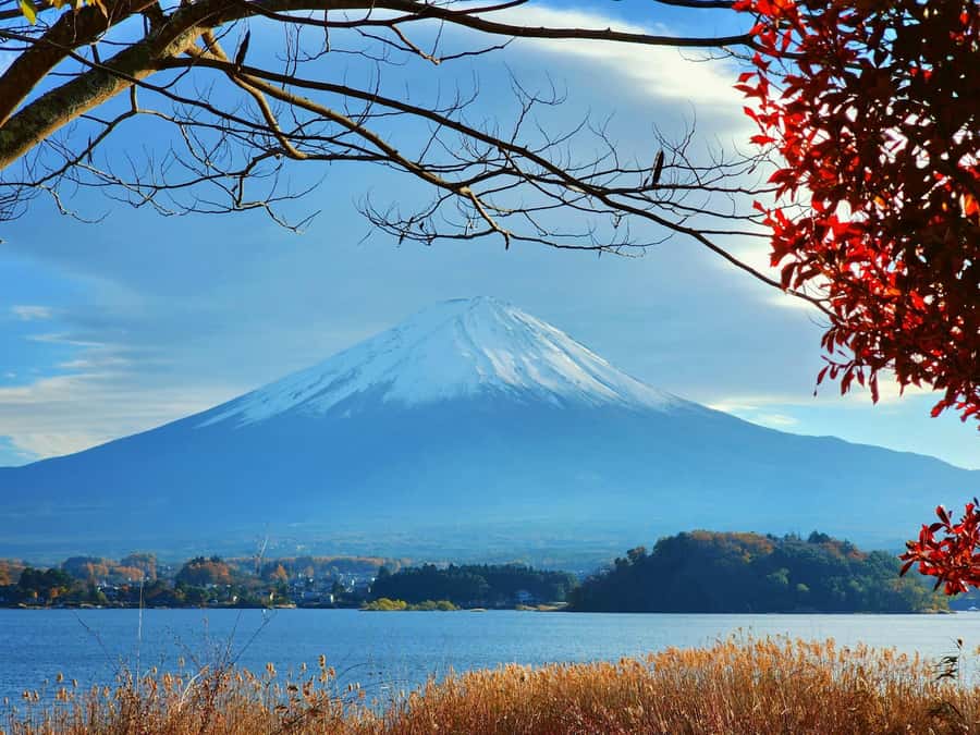 From Tokyo: Mount Fuji Full-Day Private Tour (Customizable) - What the $390 price really buys you