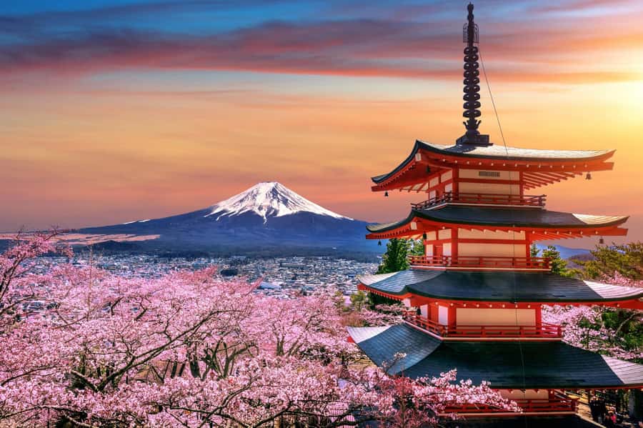 From Tokyo: Mount Fuji Full-Day Private Tour (Customizable) - Lake Kawaguchiko: the classic Fuji photograph