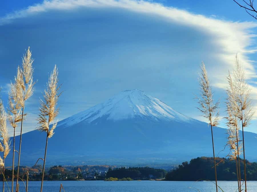 From Tokyo: Mount Fuji Full-Day Private Tour (Customizable) - Chureito Pagoda and the famous stair climb