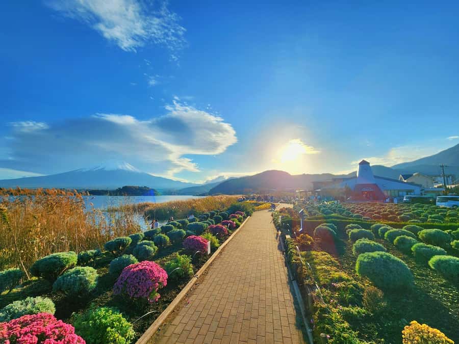 From Tokyo: Mount Fuji Full-Day Private Tour (Customizable) - Oshino Hakkai: spring water and old village charm