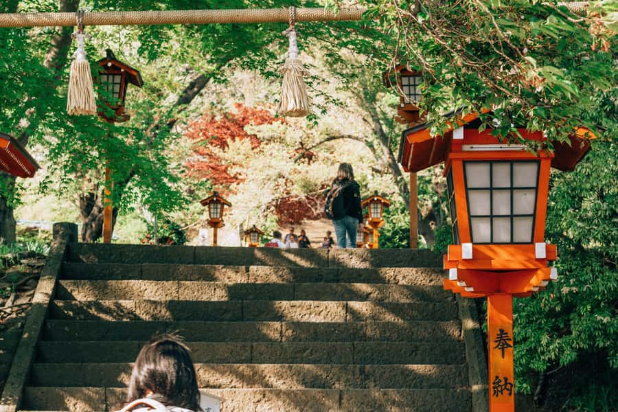 From Tokyo: Mount Fuji Full-Day Private Tour (Customizable) - The 5th or 6th Station, weather permitting