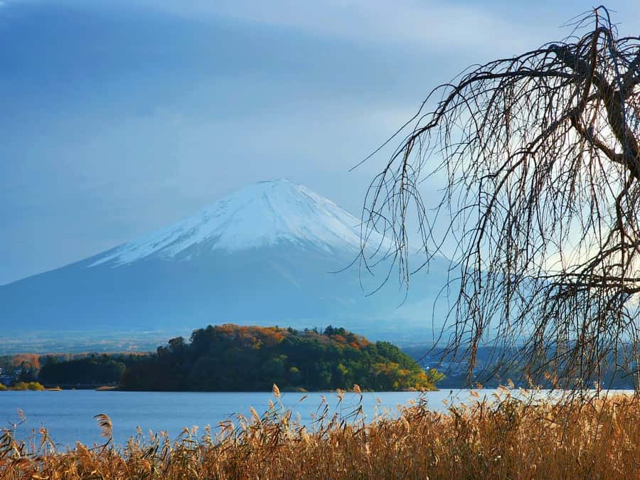 From Tokyo: Mount Fuji Full-Day Private Tour (Customizable) - Adding Hakone changes the balance of the day